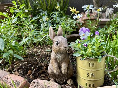 うさぎのガーデンオーナメントとビオラ/横 ビオラ,花苗,ガーデニングの写真素材