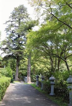 久安寺 境内 久安寺 境内の写真