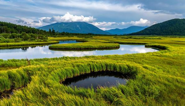 湿原 湿原の写真