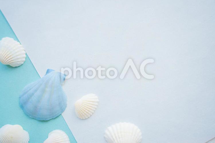 夏の文字入れ背景素材 夏,夏休み,貝殻の写真素材