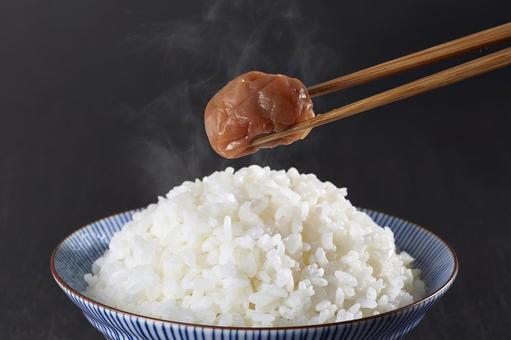 白ごはんと梅干し 白ごはんと梅干しの写真