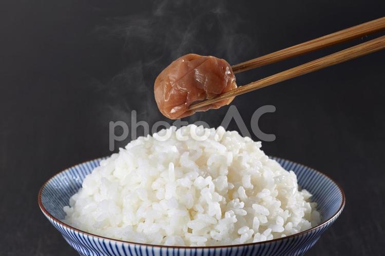 白ごはんと梅干し 白ごはんと梅干し 白ごはん,梅干し,白米の写真素材