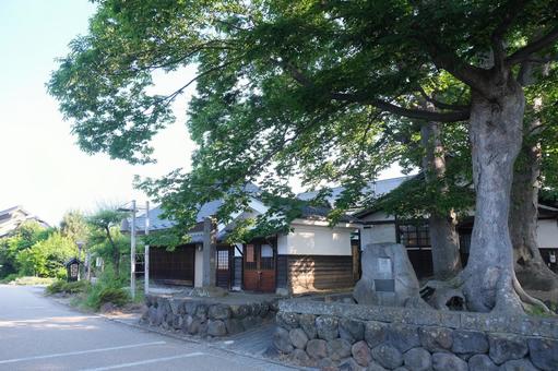 散策 散策の写真