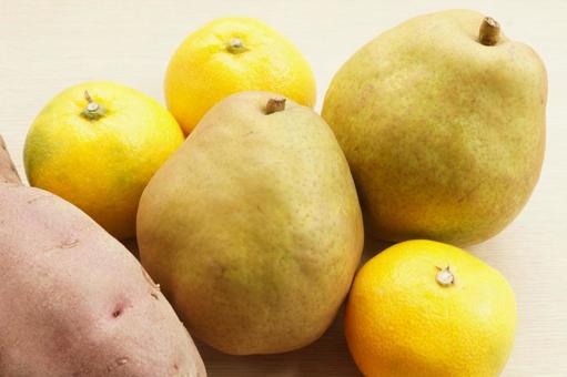 ラフランス　早生みかん　秋の食材 ラフランス,食材,早生みかんの写真素材