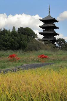 Five-story pagoda in autumn, JPG Five-story pagoda in autumn, JPG