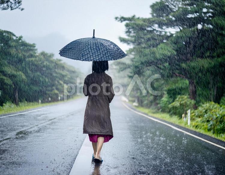 雨の日に傘をさして道路を歩く女性 雨,女性,傘の写真素材
