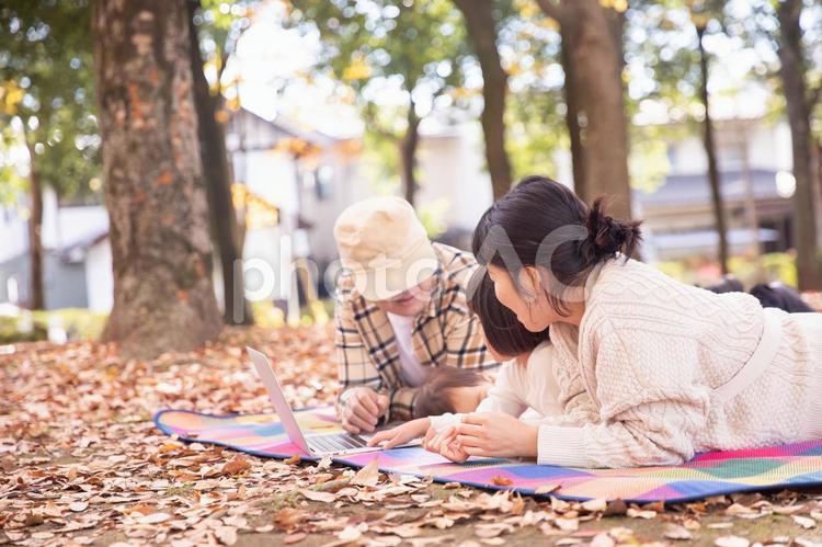 秋の公園でノートパソコンで遊ぶ家族・ファミリー 家族,親子,ノートパソコンの写真素材