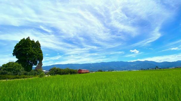 夏の田園風景と鉄道(富山・南砺市):1 夏の田園風景と鉄道(富山・南砺市):1 ローカル,鉄道,城端線の写真素材
