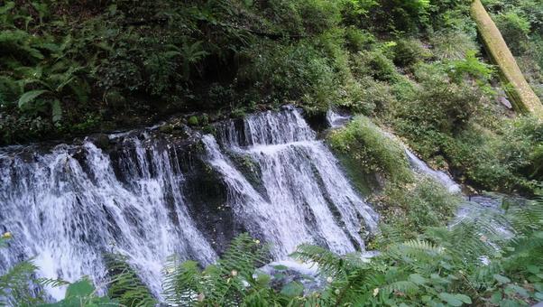 小さな滝 小さな滝 渓流,清流,川の写真素材