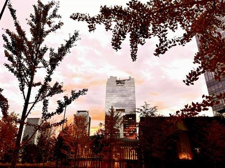 都市の街並 都市,都市の街並,都会の写真素材