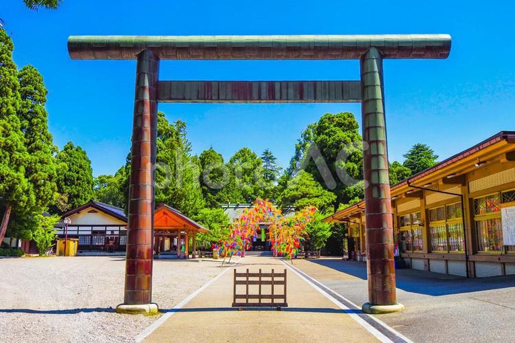 富山県 射水神社 射水神社,神社,七夕の写真素材