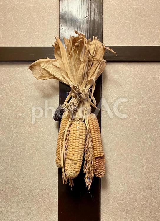 柱にかかった装飾用とうもろこしの束 とうもろこし,乾燥,吊るすの写真素材