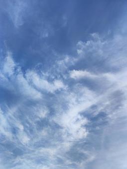 青空、白い雲 青空、白い雲の写真