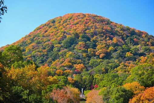 紅葉で彩る甲山(兵庫) 秋,紅葉,山の写真素材