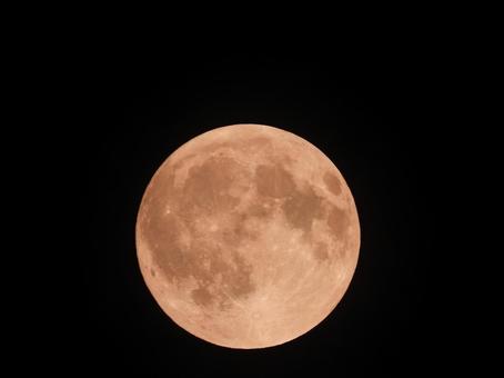 9月8日の満月コーンムーン 9月8日の満月コーンムーンの写真
