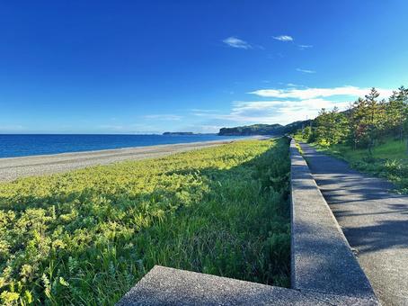 海岸沿い　海　晴れ 海,晴れ,風景の写真素材