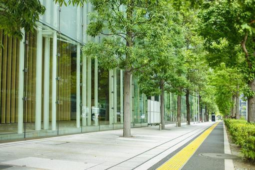 オフィス街 歩道 オフィス街 歩道 道,オフィス街,葉の写真素材