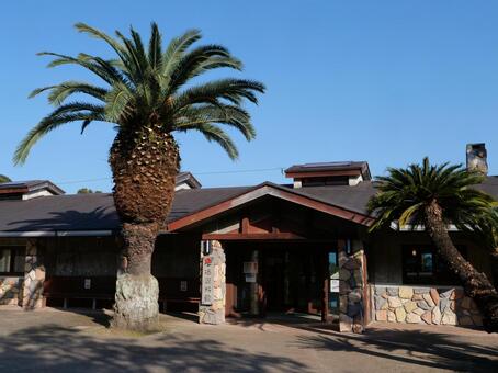 大島公園　椿資料館 大島公園,椿資料館,伊豆大島の写真素材