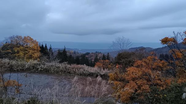 魚沼スカイラインの紅葉 魚沼スカイライン,紅葉,護国観音苑の写真素材
