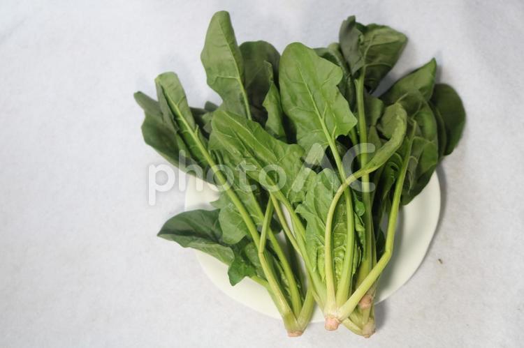 農家直送のほうれん草 ほうれん草,野菜,グリーンの写真素材