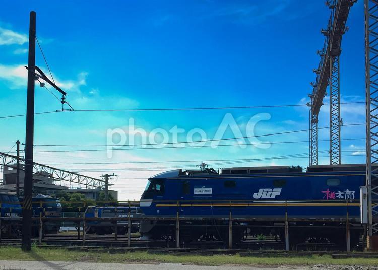 鉄道写真　〜電気機関車たち③〜 鉄道,鉄道写真,風景の写真素材