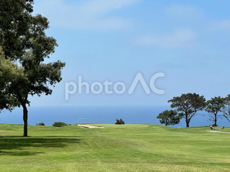 青空と海外のゴルフ場 ゴルフ,コース,青空の写真素材