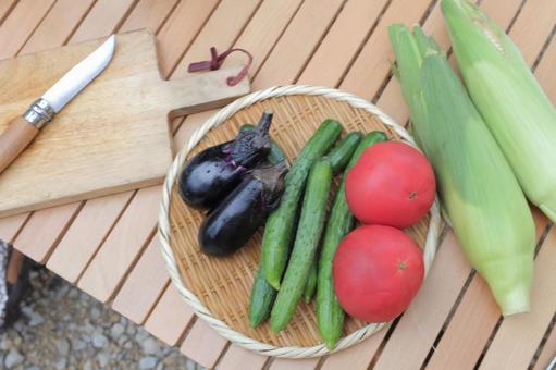 夏野菜 夏野菜 夏,夏野菜,とうもろこしの写真素材