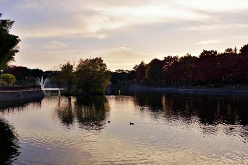 公園の夕景 夕景,たそがれ,残照の写真素材