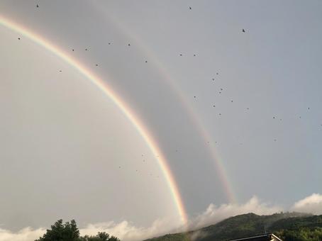 二重虹と飛び立つ鳥たち 二重虹と飛び立つ鳥たち 二重の虹,虹,ダブルレインボーの写真素材