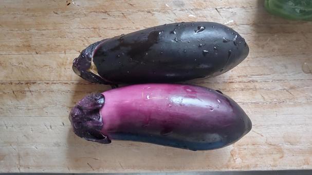 茄子 茄子 ナス,なすび,野菜の写真素材