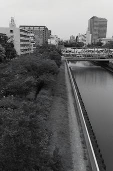木場公園 木場公園,公園,モノクロの写真素材