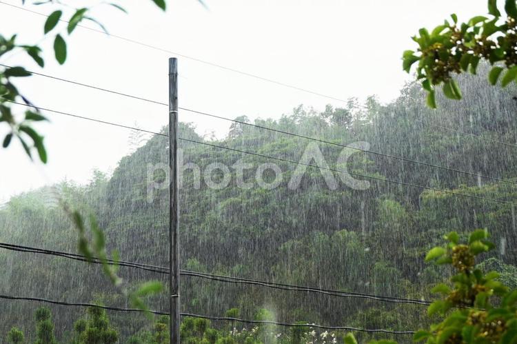 豪雨の風景　森と電線 豪雨,風景,森の写真素材
