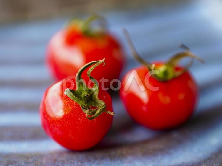 真っ赤なツヤッツヤのプチトマト 真っ赤,艶々,美味しいの写真素材