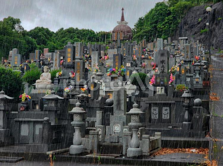 お墓参り　梅雨 墓参り,梅雨入り,梅雨の写真素材