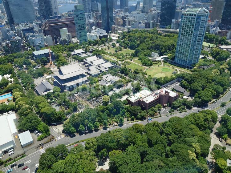 東京タワーからみた景色 街並み,東京,自然の写真素材