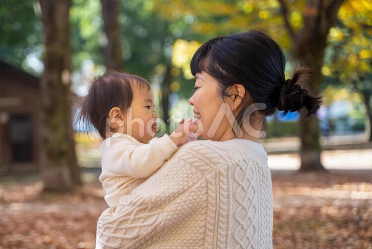 秋の公園で遊ぶ赤ちゃんとママ 赤ちゃん,ママ,横顔の写真素材