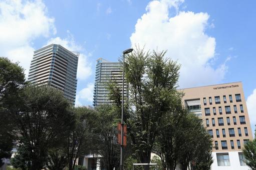 千葉県 柏の葉キャンパスの街並み 千葉県 柏の葉キャンパスの街並み 柏市,千葉県,柏の葉キャンパスの写真素材