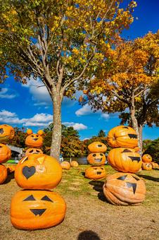北海道　大沼公園秋の風景の写真