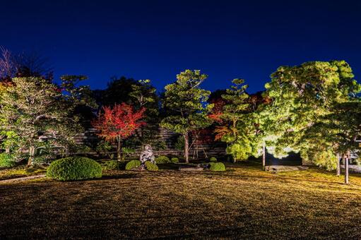 景色風景 紅葉風景,京都,二条城の写真素材