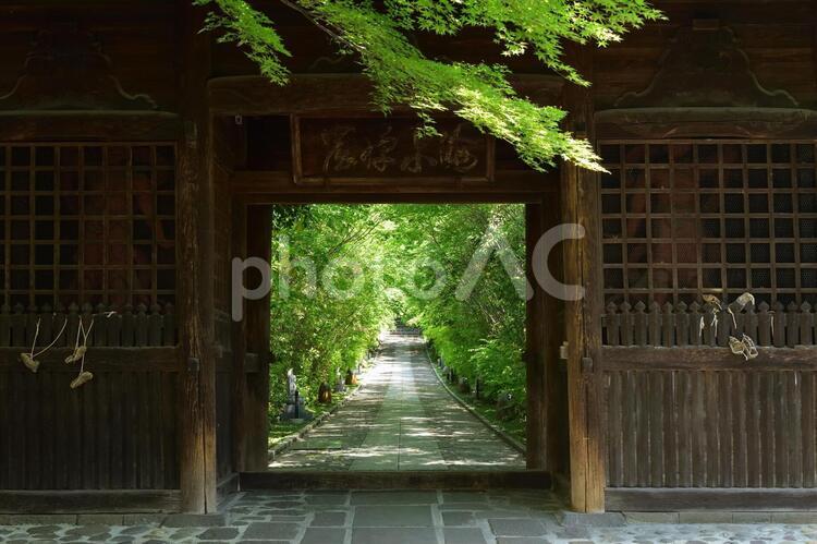 宮城県仙台市　輪王寺　山門 輪王寺,山門,寺院の写真素材