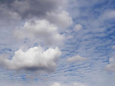 青空に浮かぶ白い雲 青空に浮かぶ白い雲 雲,空,青空の写真素材