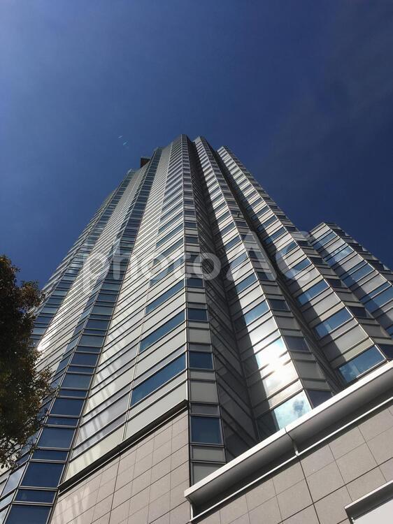 ビル　高層ビル　ビジネス　タワー　青空とビル ビル,高層ビル,ビジネスの写真素材