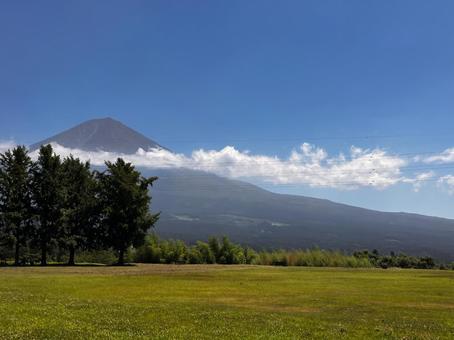 草原と富士山 草原と富士山 富士山,草原,自然の写真素材