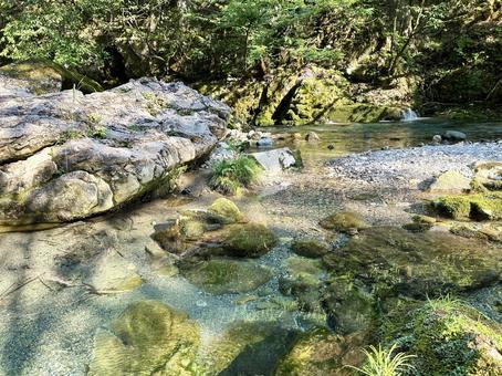 透明度の高い川 透明度の高い川 川,透明,水面の写真素材
