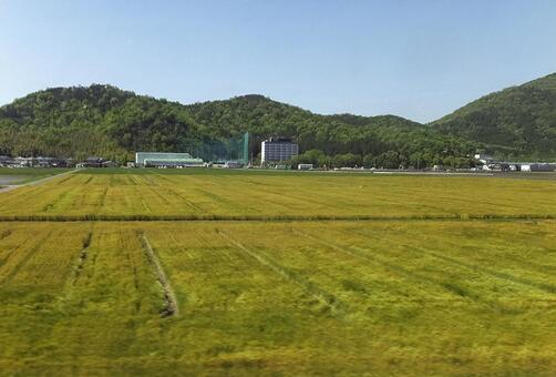 岐阜 [Gihu]-014の写真