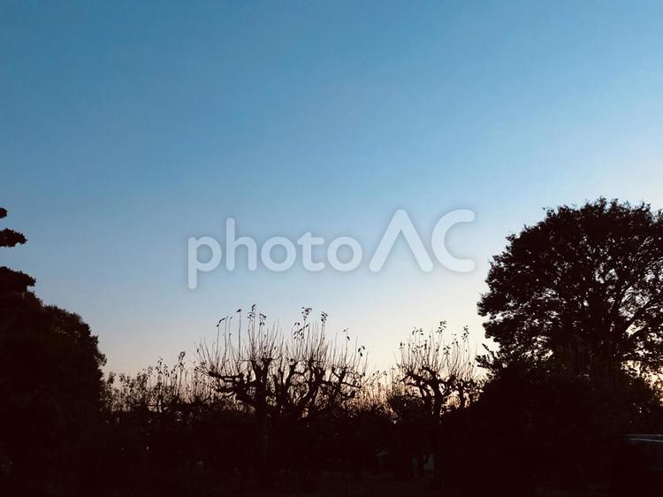 影絵の風景 影絵,青空,シルエットの写真素材
