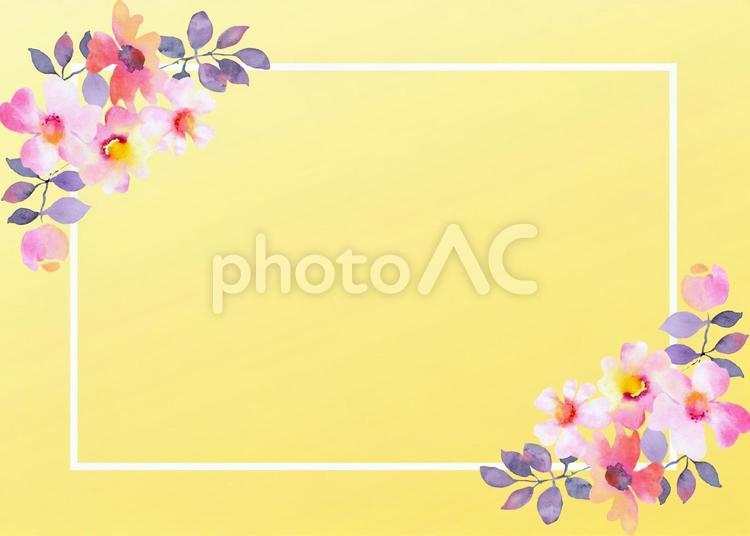花のフレーム　グラデーション　イエロー 花,バラ,背景の写真素材