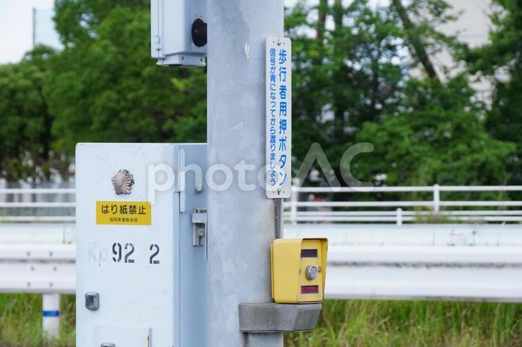 押ボタン式信号機 信号機,交通,交差点の写真素材
