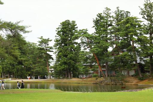 雨の毛越寺6 雨の毛越寺6 平泉,毛越寺,庭園の写真素材