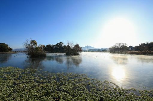 熊本県嘉島町 浮島池 熊本県嘉島町 浮島池の写真